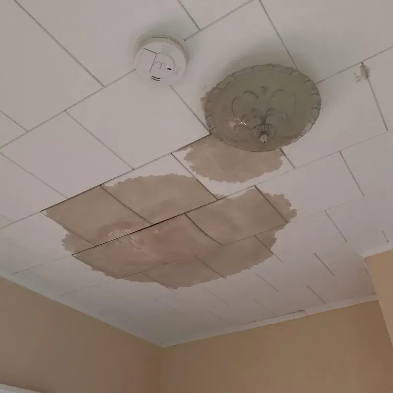 Ceiling Water Damage Repair in Lynchburg, MS