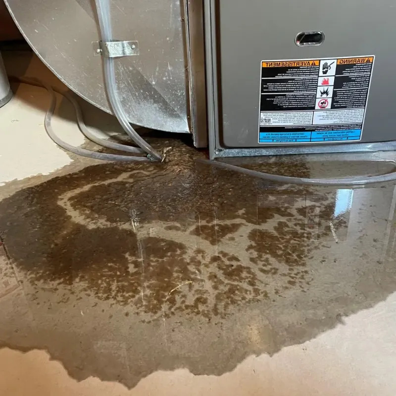 Pipe Burst and Leak Restoration in Lynchburg, MS
