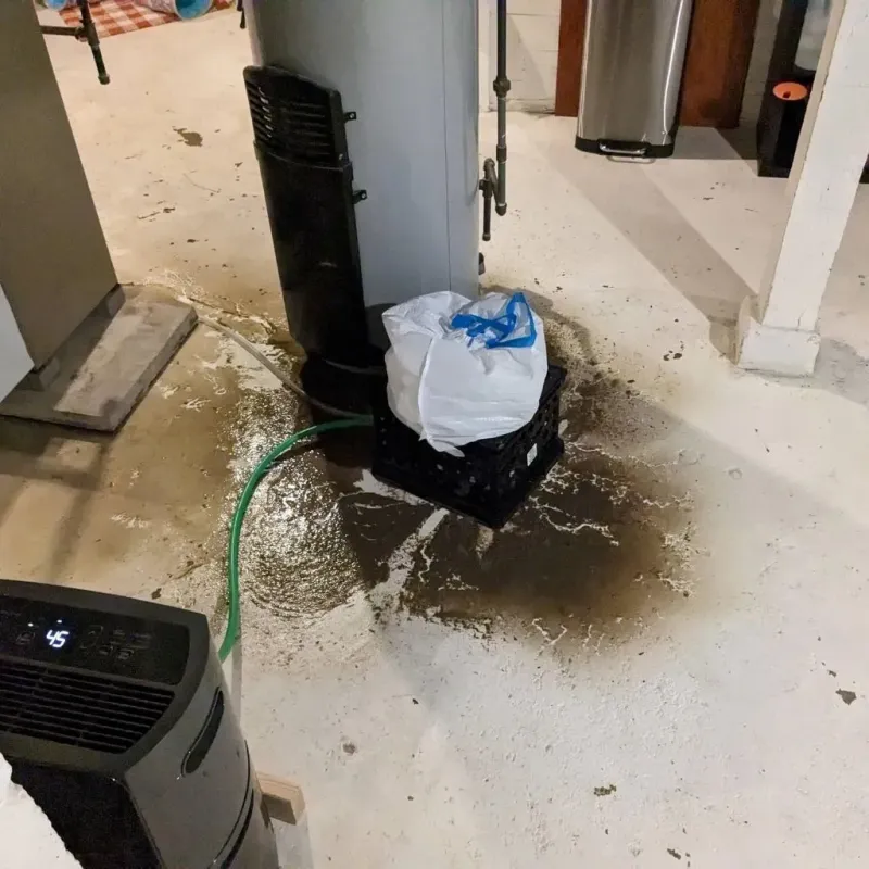 Sewage Backup Cleanup Service in Lynchburg, MS
